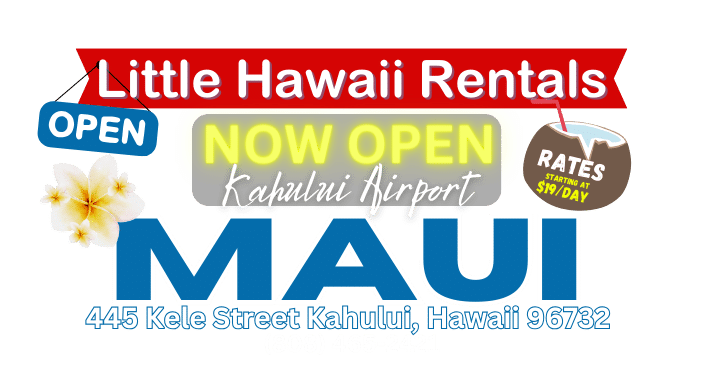 Honolulu Passenger Van Rentals